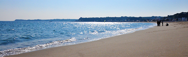 三浦海岸